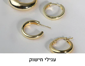 עגילי חישוק